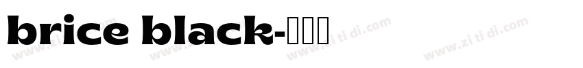 brice black字体转换